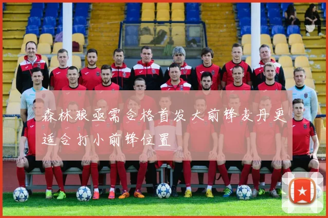 森林狼亟需合格首发大前锋麦丹更适合打小前锋位置