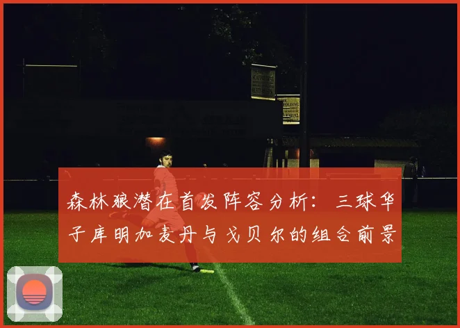 森林狼潜在首发阵容分析：三球华子库明加麦丹与戈贝尔的组合前景如何